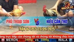 Trận 16 CPC5 23/9/2025 - Anh Phú Thoại Sơn Và Anh Hiếu Cần Thơ