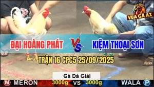 Trận 16 CPC5 25/9/2025 - Anh Đại Hoàng Phát Gặp Anh Kiệm Thoại Sơn