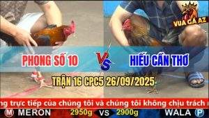 Trận 16 CPC5 26/9/2025 - Anh Phong Số 10 Và Anh Hiếu Cần Thơ