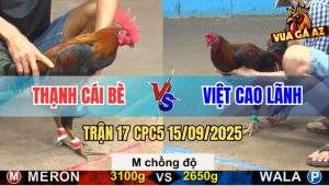 Trận 17 CPC5 15/9/2025 - Anh Thạnh Cái Bè Và Anh Việt Cao Lãnh