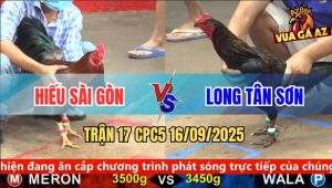 Trận 17 CPC5 16/9/2025 - Anh Hiếu Sài Gòn Và Anh Long Tân Sơn