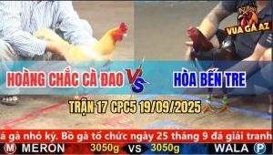 Trận 17 CPC5 19/9/2025 - Anh Hoàng Chắc Cà Đao Và Anh Hào Bến Tre