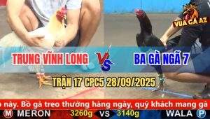 Trận 17 CPC5 28/9/2025 - Anh Trung Vĩnh Long Và Anh Ba Gà Ngã 7