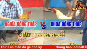 Trận 18 CPC5 9/9/2025 - Nghĩa Đồng Tháp Và Anh Khoa Đồng Tháp