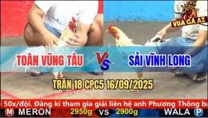 Trận 18 CPC5 16/9/2025 - Anh Toàn Vũng Tàu Và Anh Sải Vĩnh Long