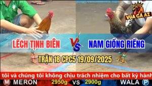 Trận 18 CPC5 19/9/2025 - Anh Lếch Tịnh Biên Và Anh Nam Giồng Riềng