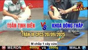 Trận 18 CPC5 21/9/2025 - Anh Toàn Tịnh Biên Và Anh Khoa Đồng Tháp