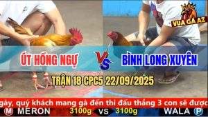 Trận 18 CPC5 22/9/2025 - Anh Út Hồng Ngự Và Anh Bình Long Xuyên