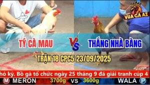 Trận 18 CPC5 23/9/2025 - Anh Tý Cà Mau Và Anh Thắng Nhà Bàng