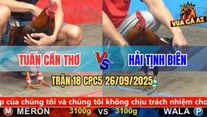 Trận 18 CPC5 26/9/2025 - Anh Tuấn Cần Thơ Và Anh Hải Tịnh Biên