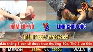 Trận 19 CPC5 17/9/2025 - Anh Năm Lấp Vò Và Anh Linh Châu Đốc