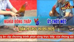 Trận 19 CPC5 19/9/2025 - Anh Nghĩa Đồng Tháp Và Anh Út Thốt Nốt