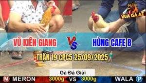 Trận 19 CPC5 25/9/2025 - Anh Vũ Kiên Giang Gặp Anh Hùng Cafe B