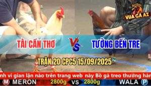 Trận 20 CPC5 15/9/2025 - Anh Tài Cần Thơ Và Anh Tường Bến Tre