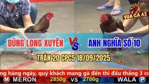 Trận 20 CPC5 18/9/2025 - Anh Dũng Long Xuyên Và Anh Nghĩa Số 10