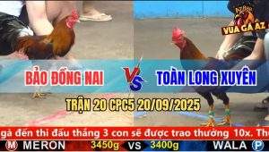 Trận 20 CPC5 20/9/2025 - Anh Bảo Đồng Nai Và Anh Toàn Long Xuyên