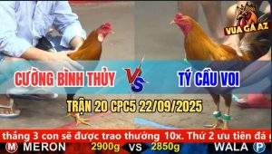 Trận 20 CPC5 22/9/2025 - Anh Cường Bình Thủy Và Anh Tý Cầu Voi