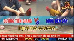 Trận 20 CPC5 25/9/2025 - Anh Cương Tiền Giang Và Anh Quốc Đèn Cầy
