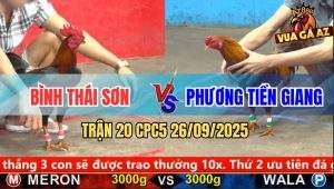 Trận 20 CPC5 26/9/2025 - Anh Bình Thái Sơn Và Anh Phương Tiền Giang