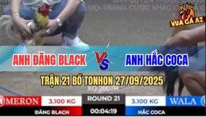 Trận 21 Bồ TonHon 27/09/2025 - Anh Đăng Black Và Anh Hắc Coca