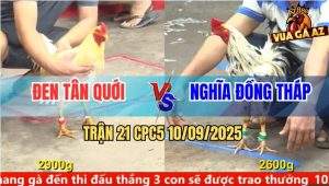 Trận 21 CPC5 10/9/2025 - Anh Đen Tân Quới Và Anh Nghĩa Đồng Tháp