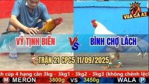 Trận 21 CPC5 11/9/2025 - Anh Vỹ Tịnh Biên Và Anh Bình Đồng Tháp