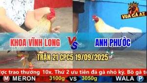 Trận 21 CPC5 19/9/2025 - Anh Khoa Vĩnh Long Và Anh Phước