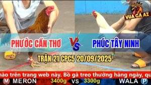 Trận 21 CPC5 21/9/2025 - Anh Phước Cần Thơ Và Anh Phúc Tây Ninh