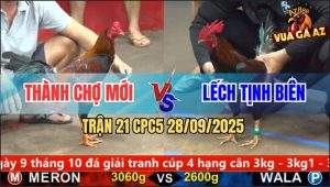 Trận 21 CPC5 28/9/2025 - Anh Thành Chợ Mới và Anh Lếch Tịnh Biên