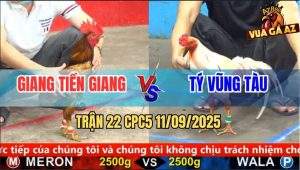 Trận 22 CPC5 11/9/2025 - Anh Giang Tiền Giang Và Anh Tý Vũng Tàu
