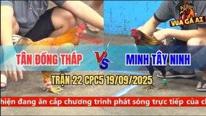 Trận 22 CPC5 19/9/2025 - Anh Tân Đồng Tháp Và Anh Minh Tây Ninh