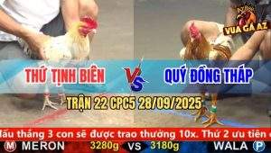 Trận 22 CPC5 28/9/2025 - Anh Thứ Tịnh Biên Và Anh Quý Đồng Tháp
