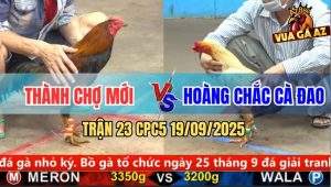 Trận 23 CPC5 19/9/2025 - Anh Thành Chợ Mới Và Anh Hoàng Chắc Cà Đao
