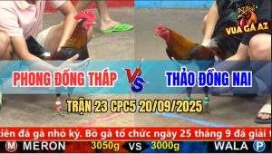 Trận 23 CPC5 20/9/2025 - Anh Phong Đồng Tháp Và Anh Thảo Đồng Nai