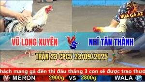 Trận 23 CPC5 23/9/2025 - Anh Vũ Long Xuyên Và Anh Nhí Tân Thành