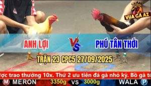 Trận 23 CPC5 27/9/2025 - Anh Lợi Và Anh Phú Tân Thới