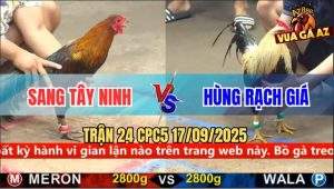 Trận 24 CPC5 17/9/2025 - Anh Sang Tây Ninh Và Anh Hùng Rạch Giá