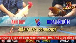 Trận 24 CPC5 22/9/2025 - Anh Duy Anh Anh Khoa Bến Lức