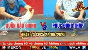 Trận 24 CPC5 27/9/2025 - Anh Xuân Hậu Giang Và Anh Phúc Đồng Tháp
