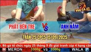 Trận 25 CPC5 15/9/2025 - Anh Phát Bến Tre Và Anh Năm