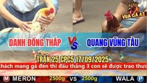 Trận 25 CPC5 17/9/2025 - Anh Danh Đồng Tháp Và Anh Quang Vũng Tàu
