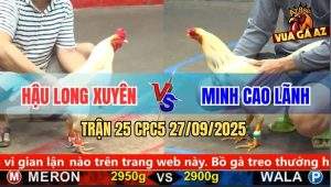 Trận 25 CPC5 27/9/2025 - Anh Hậu Long Xuyên Và Anh Minh Cao Lãnh