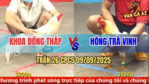 Trận 26 CPC5 9/9/2025 - Anh Khoa Đồng Tháp Và Anh Hồng Trà Vinh