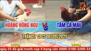 Trận 27 CPC5 10/9/2025 - Anh Hoàng Hồng Ngự Và Anh Tâm Cà Mau