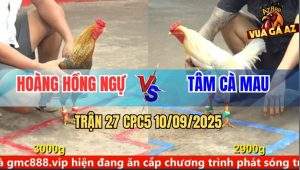 Trận 28 CPC5 10/9/2025 - Anh Trí Vũng Tàu Và Anh Duy Châu Đốc