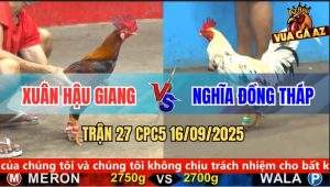 Trận 27 CPC5 16/9/2025 - Anh Xuân Hậu Giang Và Anh Nghĩa Đồng Tháp