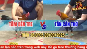 Trận 28 CPC5 9/9/2025 - Anh Tâm Bến Tre Và Anh Tấn Cần Thơ