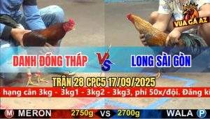 Trận 28 CPC5 17/9/2025 - Anh Danh Đồng Tháp Và Anh Long Sài Gòn