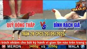 Trận 28 CPC5 20/9/2025 - Anh Quý Đồng Tháp Và Anh Bình Rạch Giá