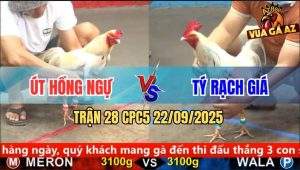Trận 28 CPC5 22/9/2025 - Anh Út Hồng Ngự Và Anh Quý Rạch Giá